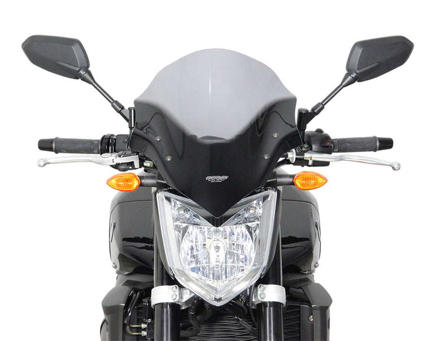Yamaha FZ1 [2006-] – Tourenscheibe "NTM"