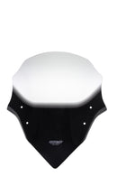 Yamaha FZ1 [2006-] – Tourenscheibe "NTM"-5