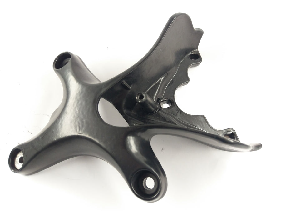 Triumph Speed Triple 885i T509 [1997] - Instrumententräger