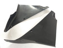 Kawasaki ZX-12R ZXT20A [2004] - Carénage intérieur avant gauche et carénage droit-1