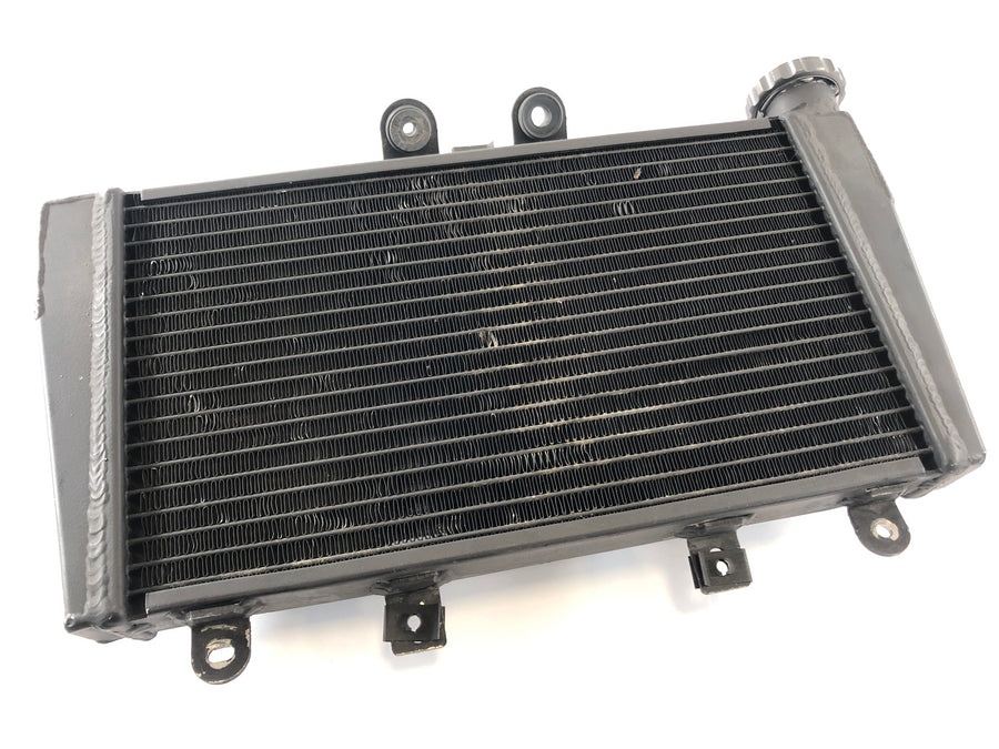 Triumph Speed ​​​​Triple 1050 515NJ [2006] - Radiateur d'eau