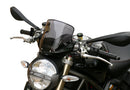 Ducati Monster 696/796/1100 - touring disc "T"-1