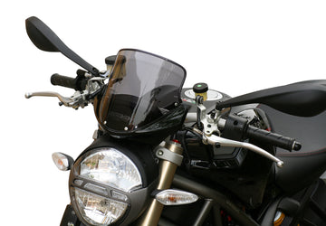 Ducati Monster 696/796/1100 - touring disc "T"