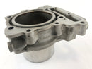 Aprilia Mille RSV 1000 ME [1999] - Cylinder rear cylinder-3