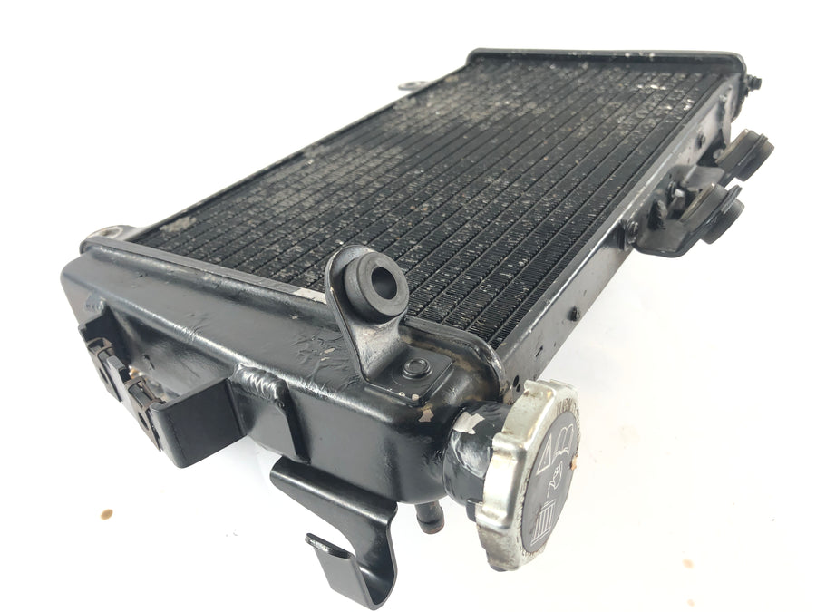 Triumph Tiger 1050 115NG [2016] - Water Cooler Radiator