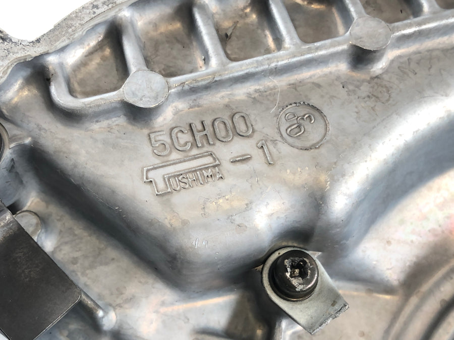 Yamaha TT 600 R DJ01 [2000] - Alternator cover engine cover side view
