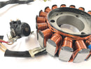 Yamaha WR 125 R DE07 [2016] - Lichtmaschine Stator-4