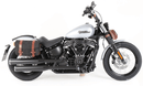 Harley-Davidson Softail Standard [2020-2025] - C-Bow Seitenträger-5