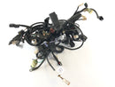 Husqvarna 701 Vitpilen [2018] - Wiring harness-1