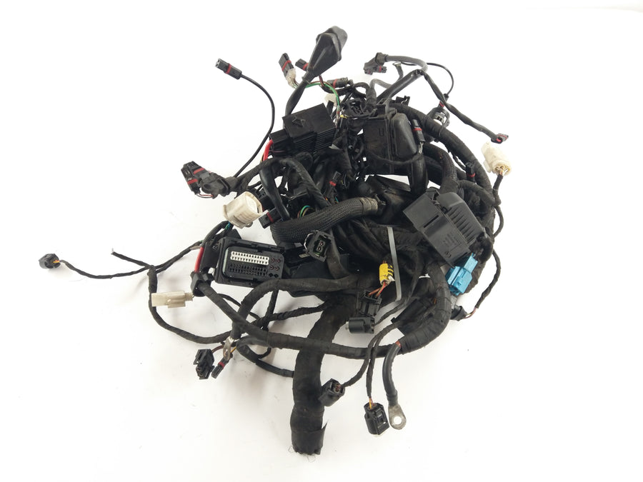 BMW K 1200 R [2010] - Kabelbaum