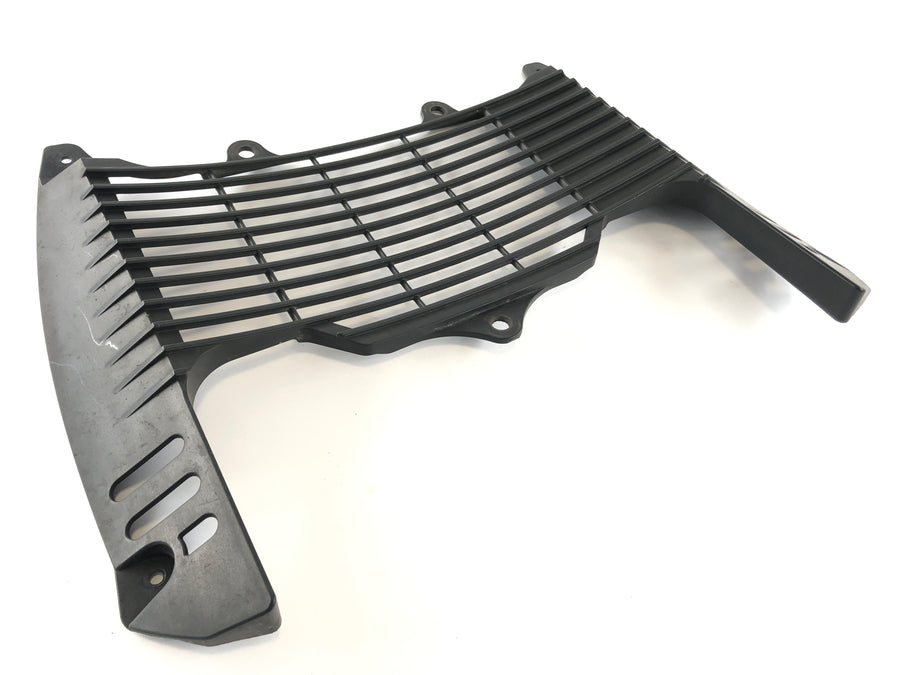 Yamaha XT 660 DM01 [2005] - Radiator cover
