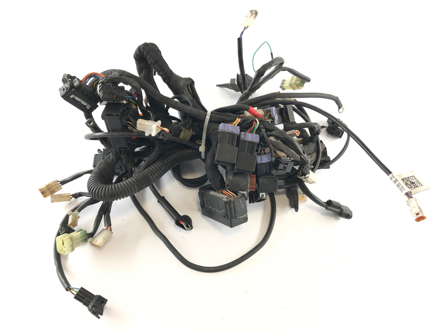 Husqvarna 701 Vitpilen [2018] - Wiring harness