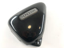 Triumph Thunderbird 900 RT T309 [1997] - Seitendeckel links-1