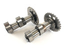 Aprilia Mille RSV 1000 ME [1999] - Camshaft Set front cylinder-1