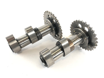Aprilia Mille RSV 1000 ME [1999] - Camshaft Set front cylinder