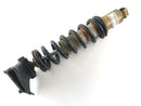Yamaha XT 600 3TB [1991] - Shock absorber-1
