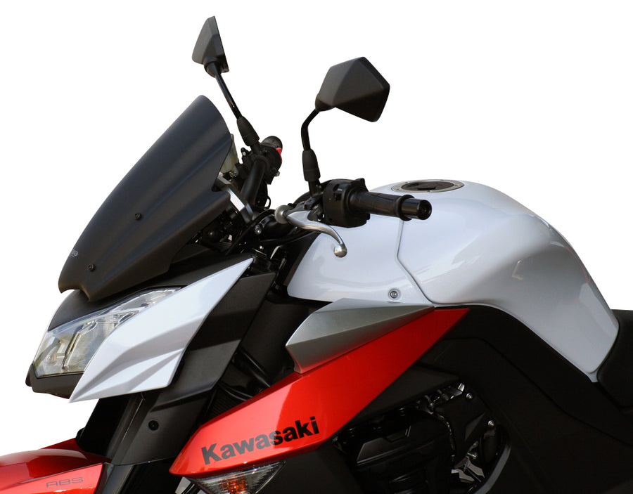 Kawasaki Z 1000 [2010-2013]-Racing disc "RN"