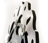 Triumph SPEED TRIPLE 900 Carburator [1994-1996] - brake discs - picture 9
