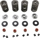 Harley-Davidson Xl 1200 Cx [2020] - Endurance Beehive® valve springs with titanium spring plates - picture 8