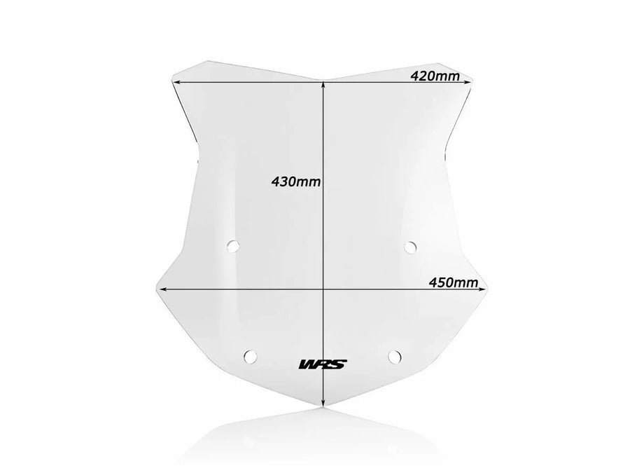 BMW R 1200 R [WRS] - windshield