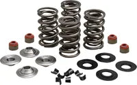 Harley-Davidson FXDSE 1800 Dyna Screamin Eagle [2007] - Endurance Beehive valve spring set for Screamin' Eagle heads - picture 9