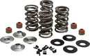 Harley-Davidson FXDSE 1800 Dyna Screamin Eagle [2007] - Endurance Beehive valve spring set for Screamin' Eagle heads - picture 9