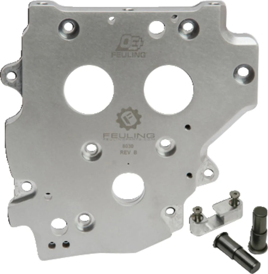 Harley-Davidson FXSTS 1450 Softail Springer [2006] - OE+ camshaft plate - type: chain - picture 1