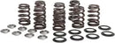Harley-Davidson FXBR 1923 Softail Breakout 117 [2026] - High Load Beehive® spring set - picture 8