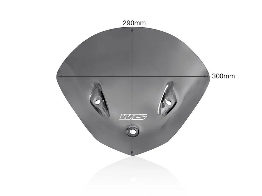 bmw s 1000 [WRS] – Windschild