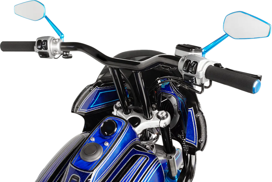 harley davidson sportster s 1250 [ARLEN NESS] – Knurled Griffe