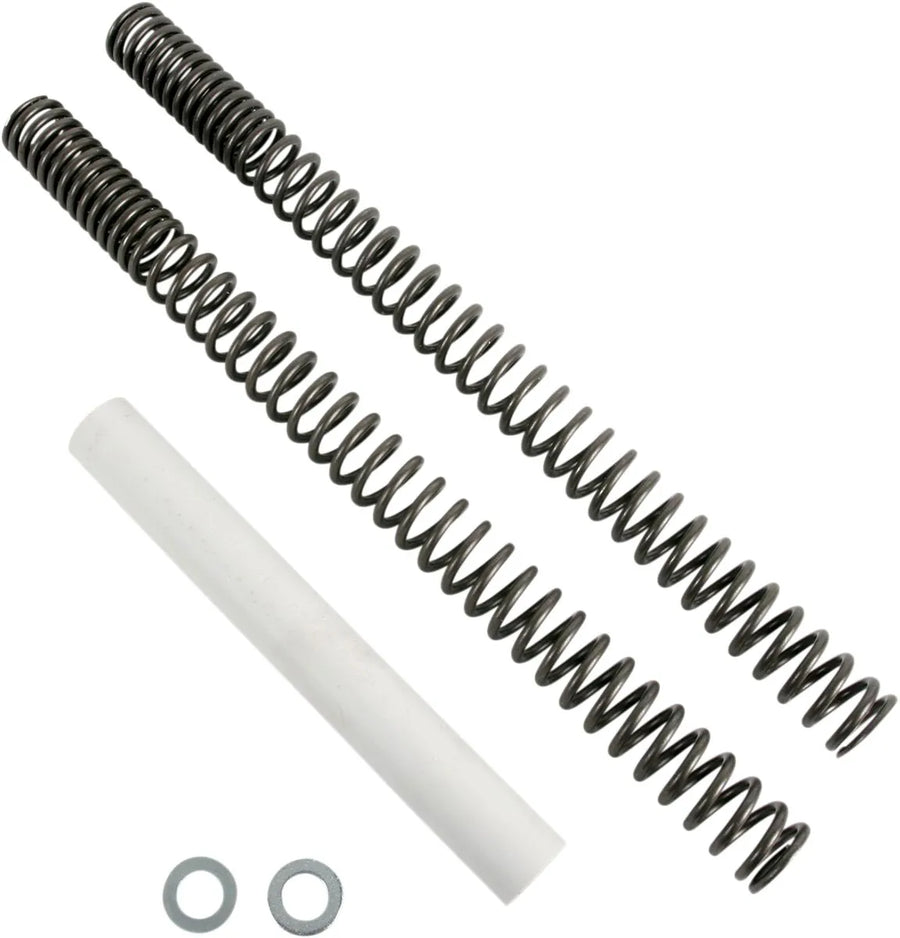 bmw r 18 [PROGRESSIVE SUSPENSION] – Vordere Gabelfedern Ersatz