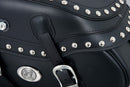 Motorcycle bag [Hepco & Becker] - leather Buffalo Big Custom left - tube pannier holder