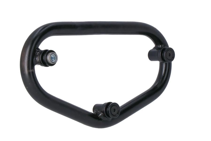 BMW F 900 [SW-MOTECH] – SLC side luggage rack