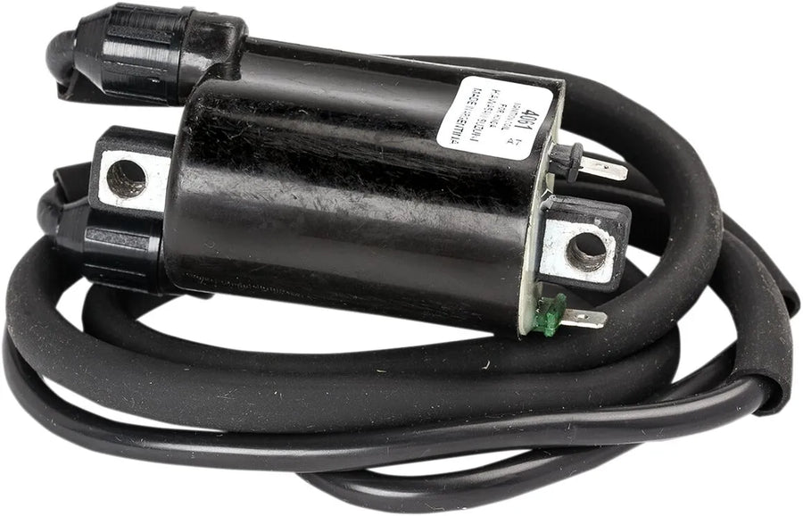 Honda CB 750 Hornet [Rick's Motorsport Electric] - ignition coil