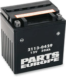 California 1100 [PARTS EUROPE] – Parts Europe Batterie