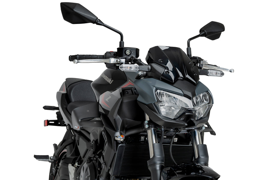 KAWASAKI Z 650 [2025] – D12 Spoiler – Carbon look