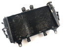 Triumph Tiger 1050 115NG [2016] - Water Cooler Radiator-1