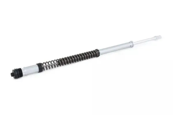 bmw r ninet urban s [OHLINS] – CARTRIDGE KIT NIX 22