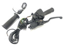 BMW F 650 GS Dakar [2007] - Lenkerarmatur Lenkerschalter rechts Gasgriff mit Handbremspumpe-4
