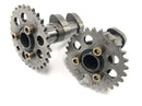 Aprilia RSV 1000 RP Mille [2001] - Camshaft set front exhaust camshaft and intake camshaft front cylinder-4