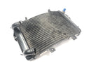KTM Duke 690 A3 [2012] - Kühler Wasserkühler Kühlsystem Radiator vorne-5