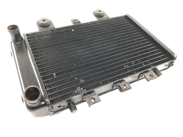 Triumph Thunderbird 900 T309RT [1995] - Radiator water cooler radiator cooling system - 0