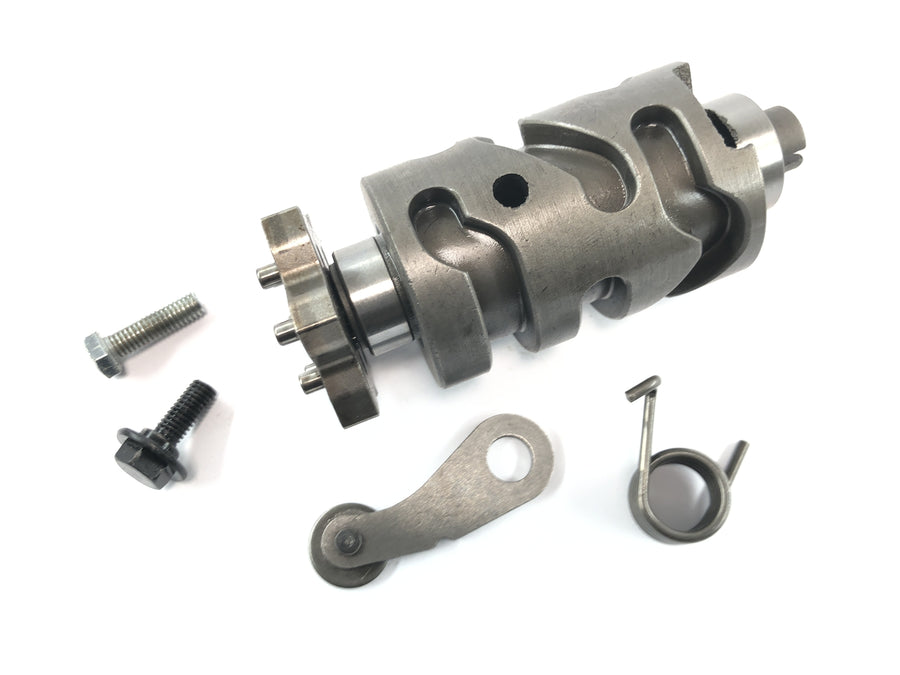 SWM SM 125 R [2018] - shift drum shifting mechanism