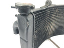Honda CBR 900 RR Fireblade SC33 [2000] - Kühler Wasserkühler Kühlradiator-2