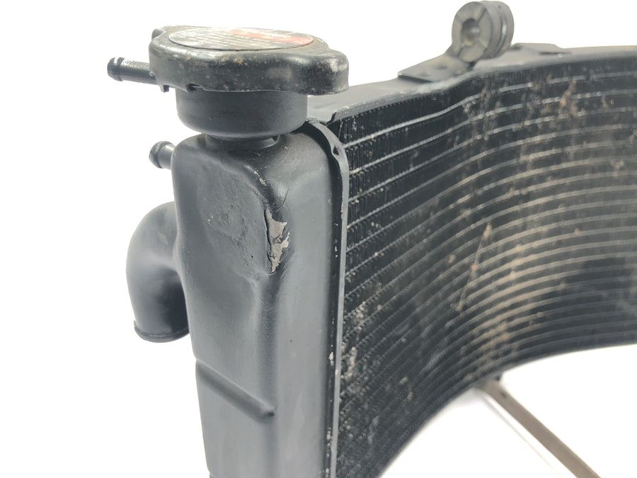Honda CBR 900 RR Fireblade SC33 [2000] - Kühler Wasserkühler Kühlradiator