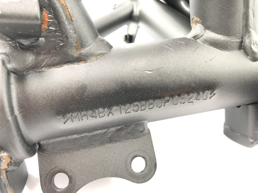 KAWASAKI NINJA 125 BX125B [2024] - Cadre la tête avec papiers