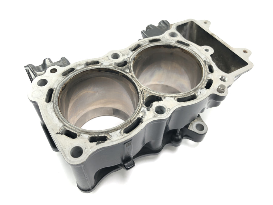 Kawasaki Versys KLE 650 A [2006] - cylinder with piston cylinder block