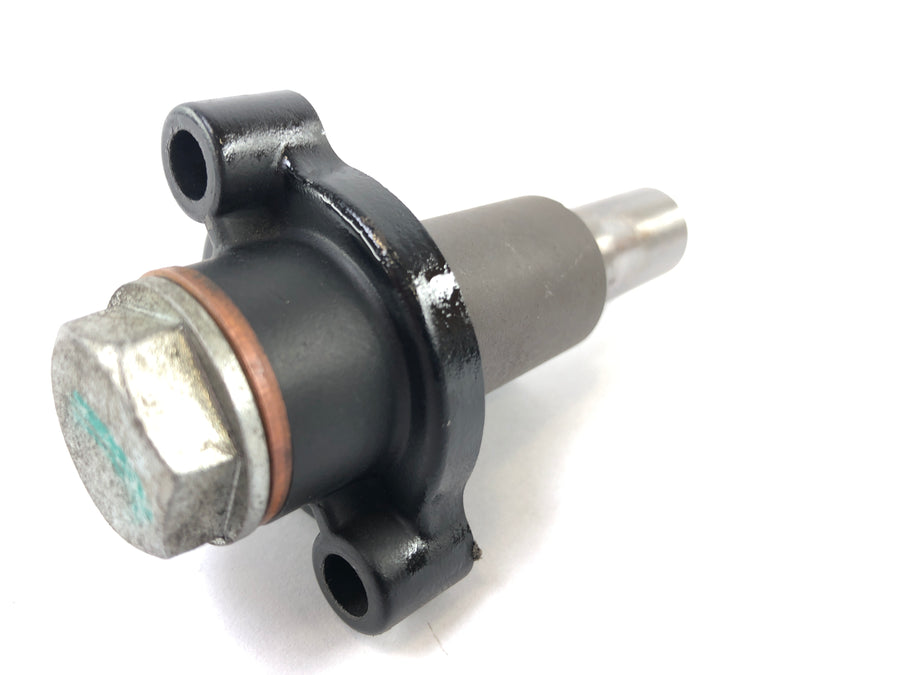 Triumph Daytona 955i T595 [1999] - timing chain tensioner