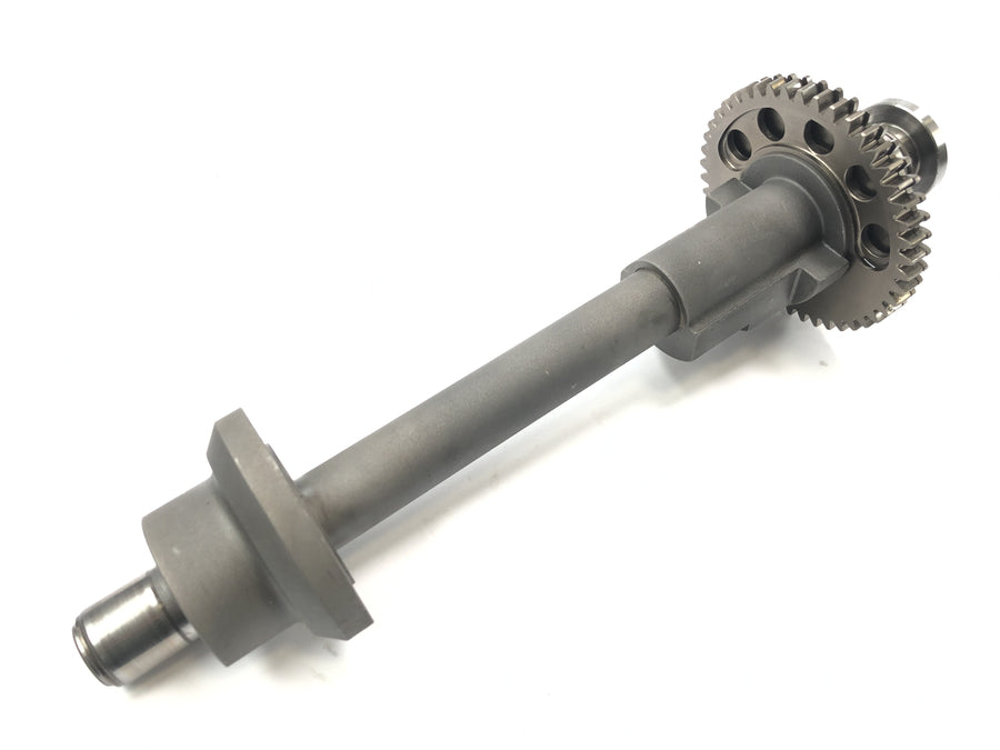 Triumph Speed ​​Triple T509 [1998] - Balance shaft