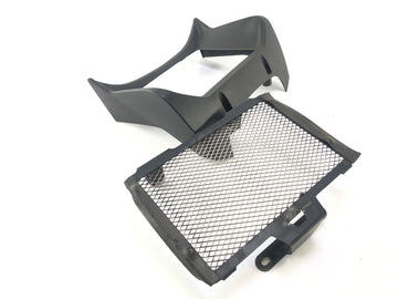 BMW R 1200 R [2007] - Grille de radiateur - 0